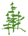 PR LOGO Trees PR LOGO Trees